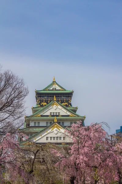 Vue printanière du château d'Osaka — Photo