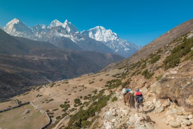 Güzel manzaralı Himalayalar