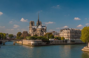 Notre Dame de Paris Katedrali güzel arkadan görünüm