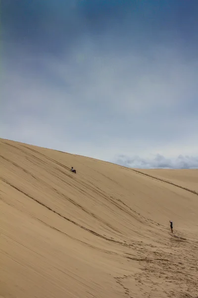 Sand dunes in Port Stephens near Sydney — Stock Photo, Image