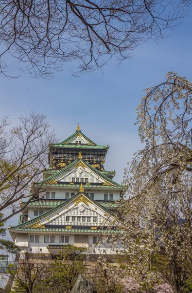 Το κάστρο της Οσάκα κατά τη διάρκεια της άνοιξης — Φωτογραφία Αρχείου