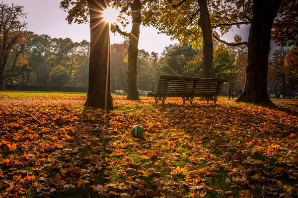 Bruxelles pendant l'automne — Photo