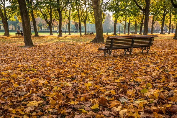 Brüksel'deki sonbahar yaprakları — Stok fotoğraf