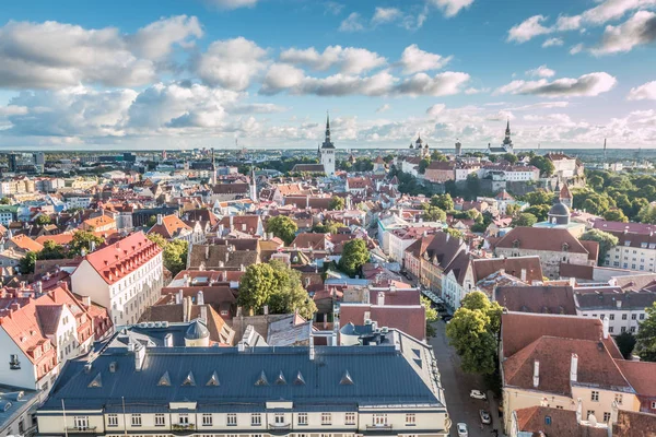 Tallinn Estonia ładny widok na miasto — Zdjęcie stockowe
