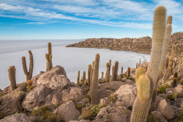 Рыбный остров в Салар-Уюни
