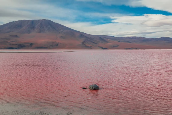 Красное Озеро Лаго Колорадо Боливии — стоковое фото