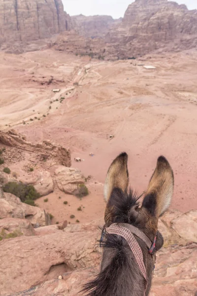 Vale Ruínas Petra Jordânia — Fotografia de Stock