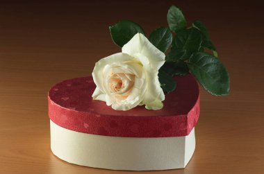 Kutunun üzerinde beyaz gül.