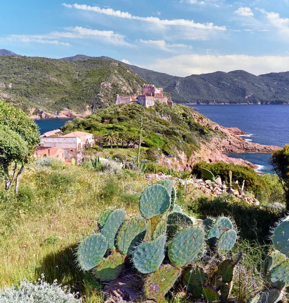 Veduta del porto di Girolata e della sua Torre Genovese — Foto Stock