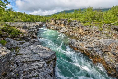 The flow of Abiskojokk river through the rocky canyon in Abisko  clipart