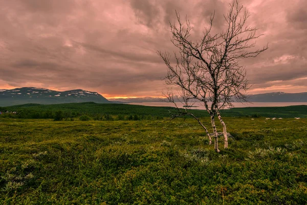 スウェーデン北部のアビスコ国立公園の景観 — ストック写真