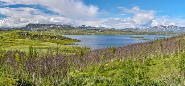スウェーデンのVassijure湖のパノラマビュー｜Norrbotten. — ストック写真