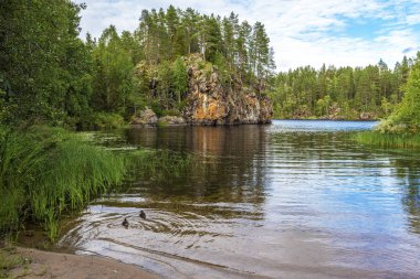 Oulanka Ulusal Parkı 'ndaki Ala-Juumajarvi Gölü sınırında.