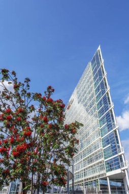 Rowanberry ağacı ve Konttoriaukio Meydanı 'ndaki ofis binası 