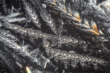 Kristalleri Erythritol mikroskop altında