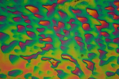 Xylitol kristalleri mikroskop altında