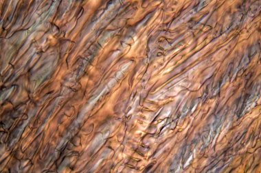 Buz kristalleri donmuş kırmızı üzüm suyu