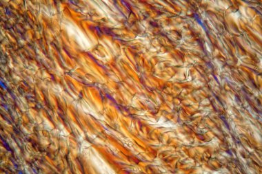 Dondurulmuş elma suyu bir mikroskop altında.