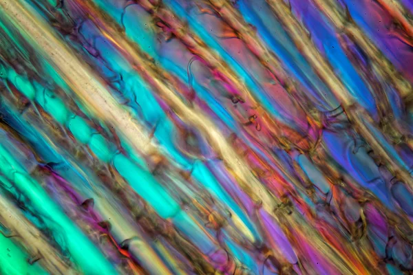 Заморожений яблучний сік під мікроскопом . — стокове фото