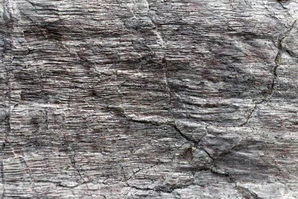 Proterozoic 시대의 편 암 천매암의 표면 — 스톡 사진