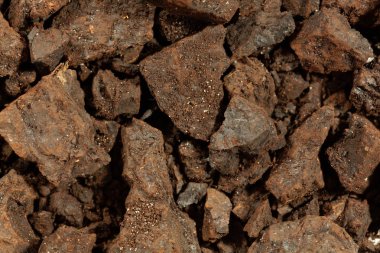 Linyit veya kahverengi kömür parçaları