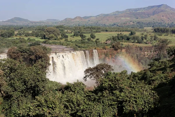 Etiyopya 'daki Tana Gölü' ndeki Mavi Nil Şelalesi. 