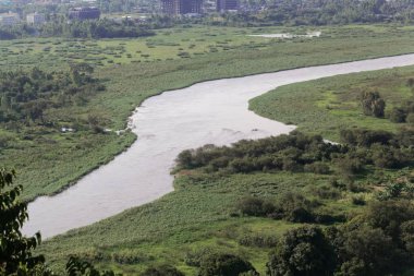 Etiyopya 'daki Tana Gölü' ndeki Mavi Nil sızıntısı.