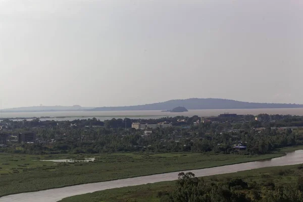 埃塞俄比亚塔纳湖的青尼罗流出. — 图库照片