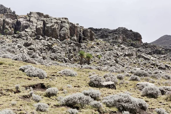 埃塞俄比亚Simien山国家公园的高山景观. — 图库照片