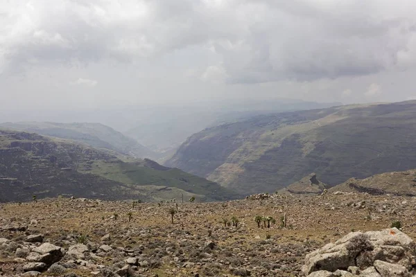 Paisaje alpino en el Parque Nacional de la Montaña Simien en Etiopía . —  Fotos de Stock