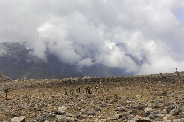 Alpenlandschap op het nationale park Simien Mountain in Ethiopië. — Stockfoto