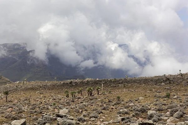 Alpine landscape at the Simien Mountain national park in Ethiopia. — Stock Photo, Image