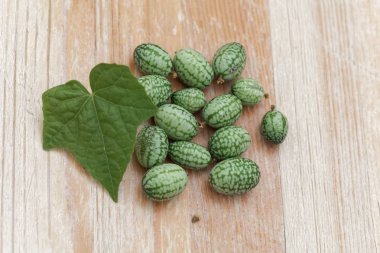 Fruits of a Mexican sour gherkin, Melothria scabra clipart