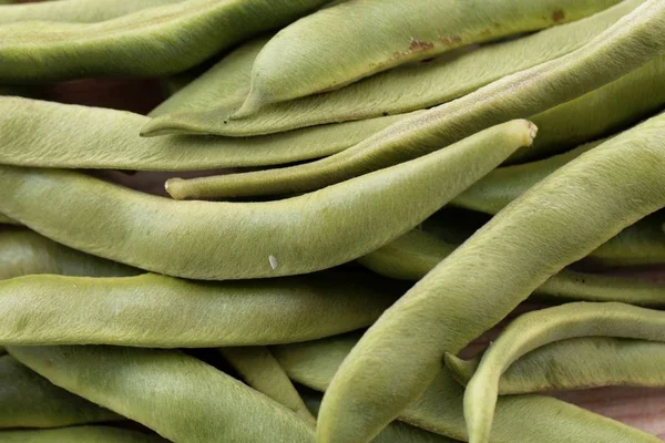 Frukter av löparböna, Phaseolus coccineus — Stockfoto