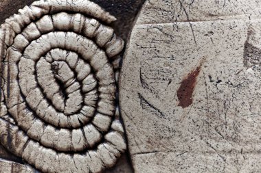 Fosil dokuya sahip gri çömlek yüzeyi.