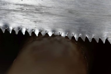 Dal kesen bir testerenin makro fotoğrafı. 