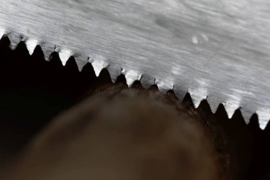 Dal kesen bir testerenin makro fotoğrafı. 