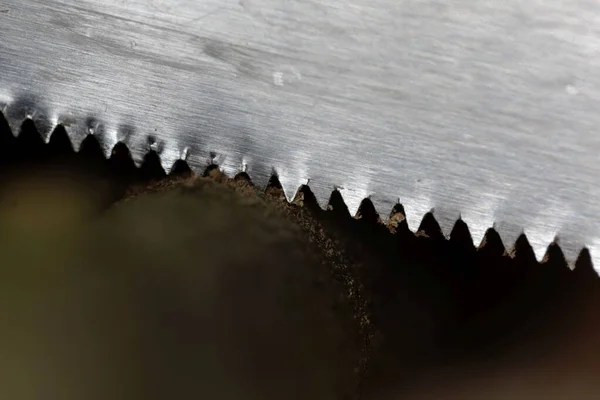 Macro foto van een zaag snijden een aftakking. — Stockfoto