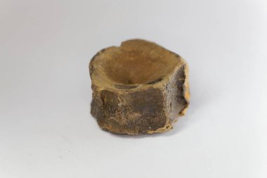 Bir Ichthyosaur 'un omurgası, Güney Almanya' nın alt Jurassic bölgesinden, Toarcium 'dan.