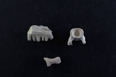 Captorhinus aguti 'nin kemik parçaları, Permiyen çağının captorhinid sürüngeni.