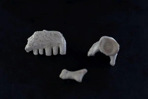 Фрагменты кости Captorhinus aguti, рептилии-капториниды пермской эпохи — стоковое фото