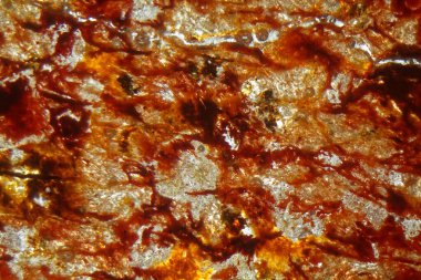 Demir zengini yanal toprağın petrografik ince bir bölümünün mikroskop fotoğrafı.. 