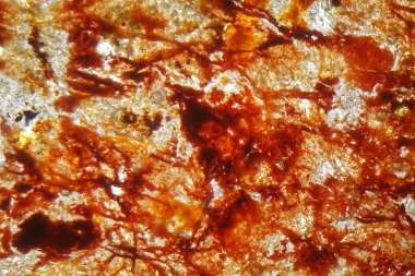 Demir zengini yanal toprağın petrografik ince bir bölümünün mikroskop fotoğrafı.. 