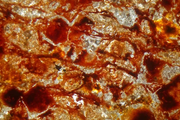 Fotografía Del Microscopio Una Sección Petrográfica Delgada Suelo Rico Hierro — Foto de Stock