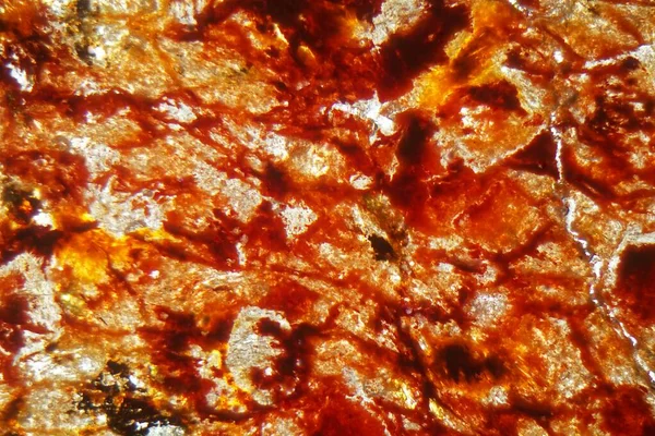 Фотография Микроскопе Тонкого Петрографического Участка Богатой Железом Латеритной Почвы — стоковое фото
