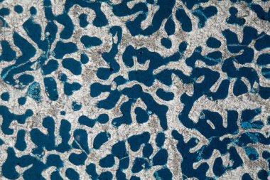 Yeni bir mercan iskeletinin petrografik ince bir bölümünün mikroskop fotoğrafı, gözenek boşluğu mavi renklerle doludur.. 