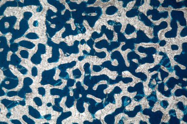 Yeni bir mercan iskeletinin petrografik ince bir bölümünün mikroskop fotoğrafı, gözenek boşluğu mavi renklerle doludur.. 