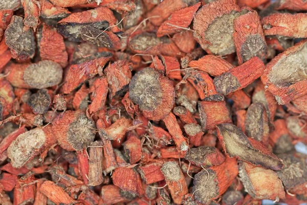 Dry root pieces of red sage, Salvia miltiorrhiza, a Chinese medical plant.