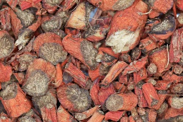 中国药用植物沙门氏菌红色鼠尾草干根片 — 图库照片