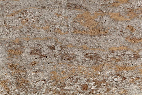 Поверхность Глиняного Минерала Богатого Ископаемыми Известняка Среднего Триасового Периода Южной — стоковое фото
